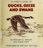 A first look at ducks, geese, and swans /