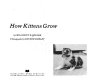 How kittens grow /