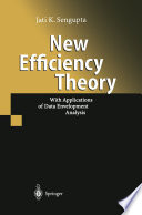 New Efficiency Theory : With Applications of Data Envelopment Analysis /