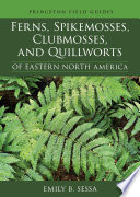 Ferns, spikemosses, clubmosses, and quillworts of eastern North America /