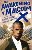 The awakening of Malcolm X : a novel /