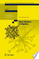 Basic notions of algebra /