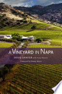 A vineyard in Napa /