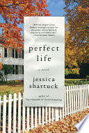 Perfect life : a novel /