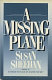 A missing plane /