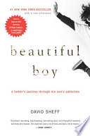 Beautiful boy : a father's journey through his son's addiction /