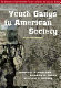 Youth gangs in American society /