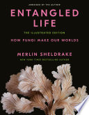 Entangled life : how fungi make our worlds /