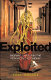 Exploited : migrant labour in the new global economy /