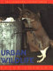 Urban wildlife /