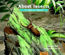 About insects : a guide for children /