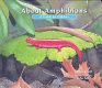 About amphibians : a guide for children /