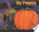 Big pumpkin /