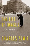 The life of images : selected prose /