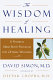 The wisdom of healing : a natural mind body program for optimal wellness /