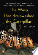 The wasp that brainwashed the caterpillar : evolution's most unbelievable solutions to life's biggest problems /