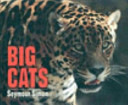 Big cats /