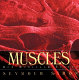 Muscles : our muscular system /