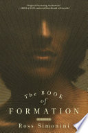 The book of formation : a novel /