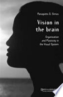 Vision in the brain /