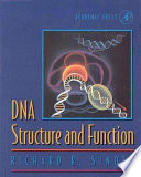 DNA structure and function /