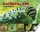 Caterpillars /