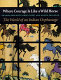 Where courage is like a wild horse : the world of an Indian orphanage /