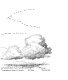 For spacious skies : a meteorological sketchbook of American weather /