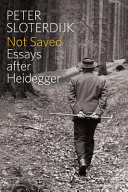 Not saved : essays after Heidegger /