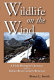 Wildlife on the wind : a field biologist's journey and an Indian reservation's renewal /
