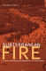 Subterranean fire : a history of working-class radicalism in the United States /