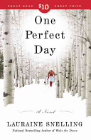 One perfect day : a novel /