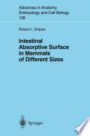 Intestinal absorptive surface in mammals of different sizes /