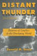 Distant thunder : patterns of conflict in the developing world /