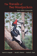 The travails of two woodpeckers : ivory-bills & imperials /