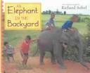 An elephant in the backyard /