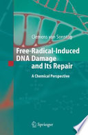 Free-radical-induced DNA damage and its repair : a chemical perspective /