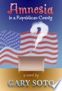 Amnesia in a Republican county : a novel /