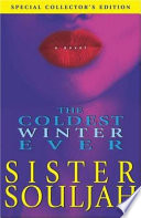 The coldest winter ever : a novel /