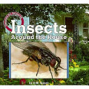 Insects around the house /