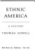 Ethnic America : a history /