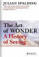 The art of wonder : a history of seeing /