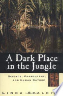 A dark place in the jungle /