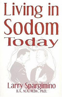 Living in Sodom today : the reality and the rage /