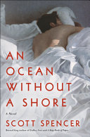An ocean without a shore : a novel /