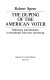 The duping of the American voter : dishonestry and deception in presidential television advertising /