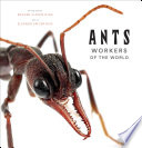 Ants : workers of the world /