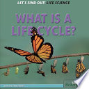 What is a life cycle? /