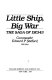 Little ship, big war : the saga of DE343 /