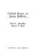 Critical essays on James Baldwin /